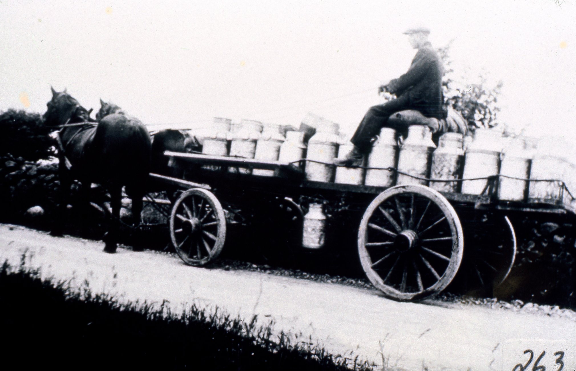 Bromölla Mjölkskjuts från Årup 1900