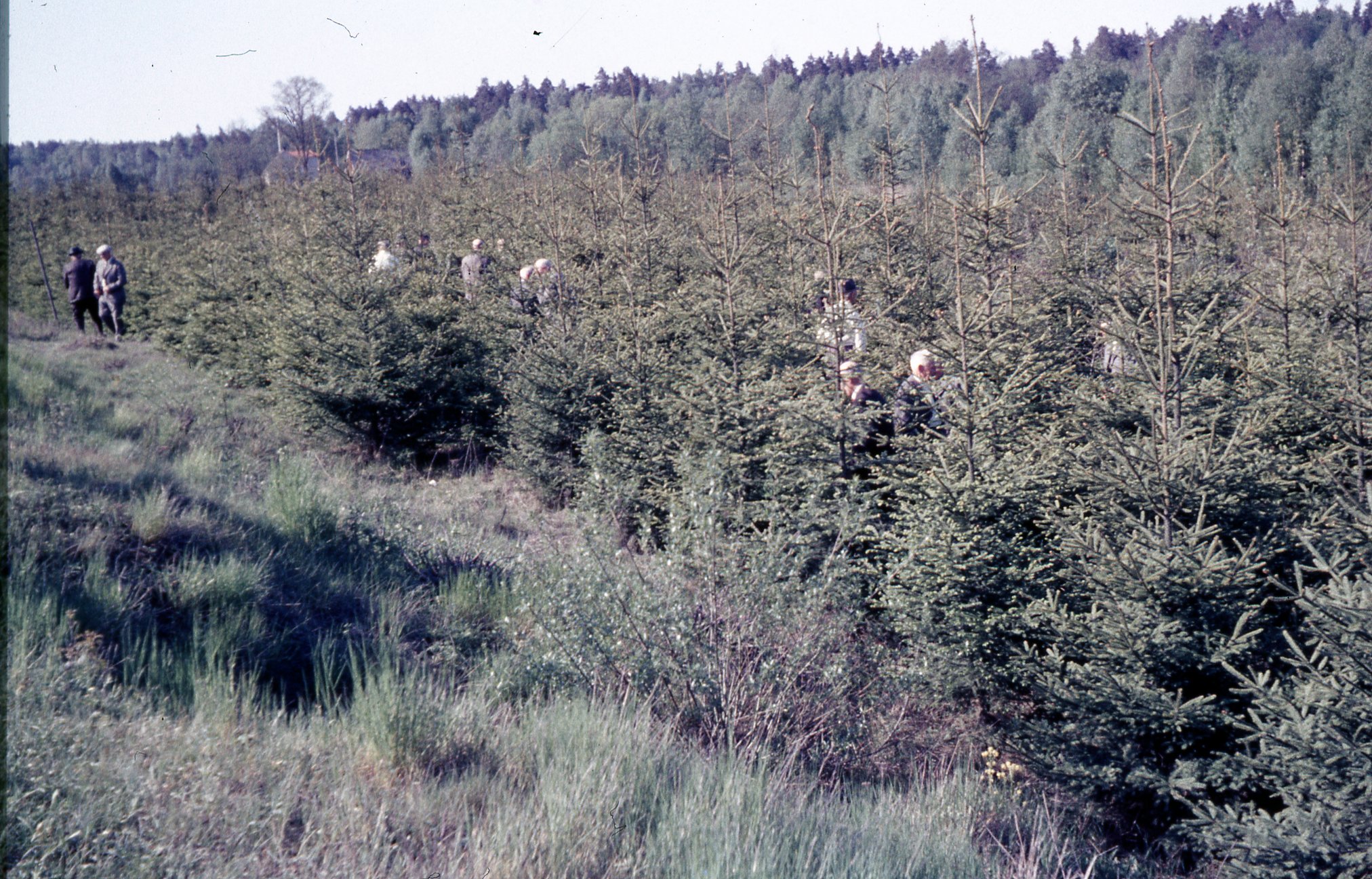 Fabrik Pensionärsutflykt 1964