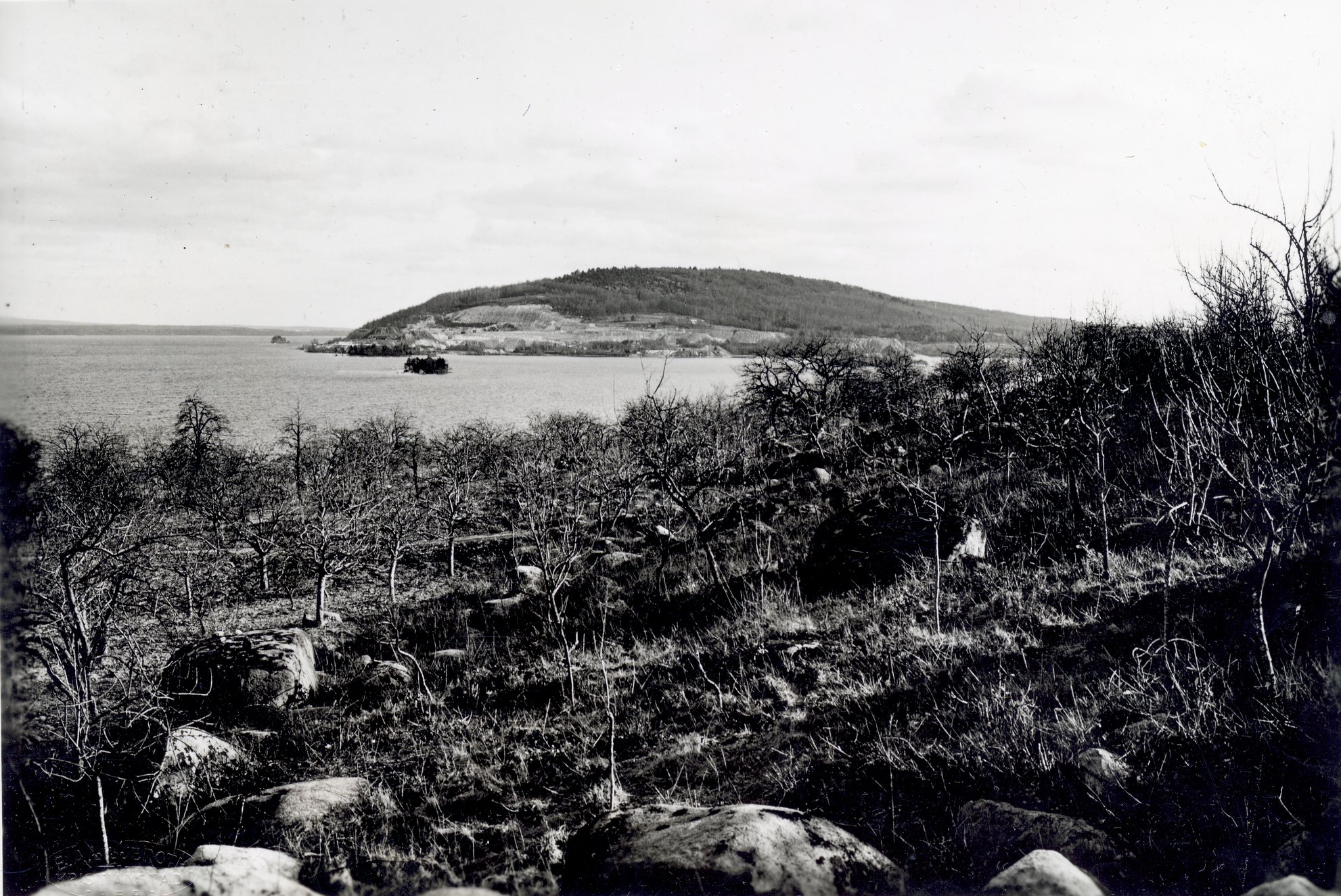 Ivö Ivö klack sett från Furustadsvägen Äppelådling 1930