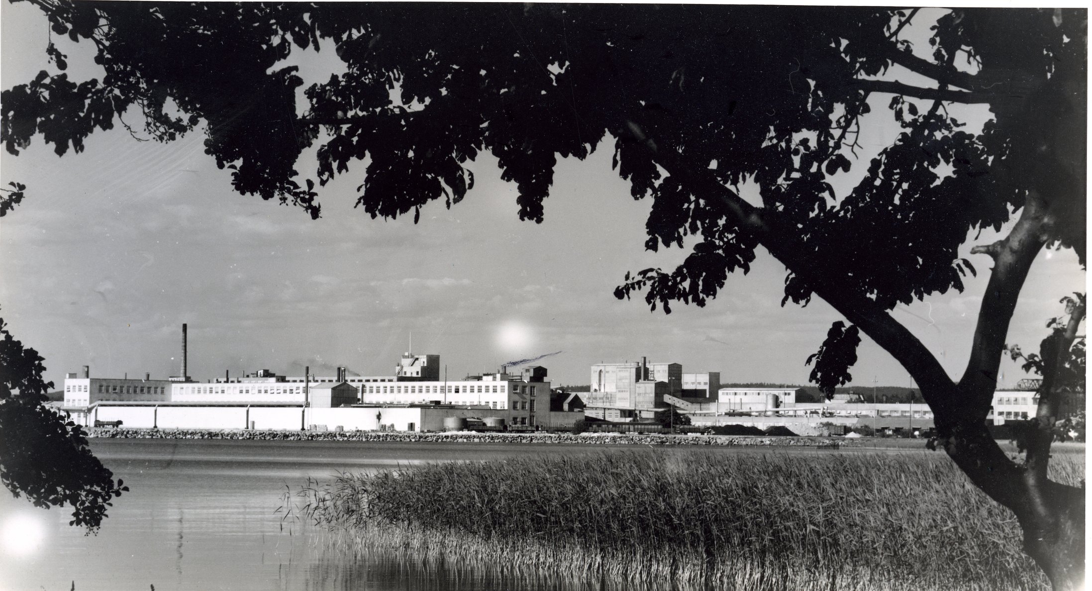 Fabrik Iföverken Fabriksområdet från Ångbåtsbryggan 1950-tal