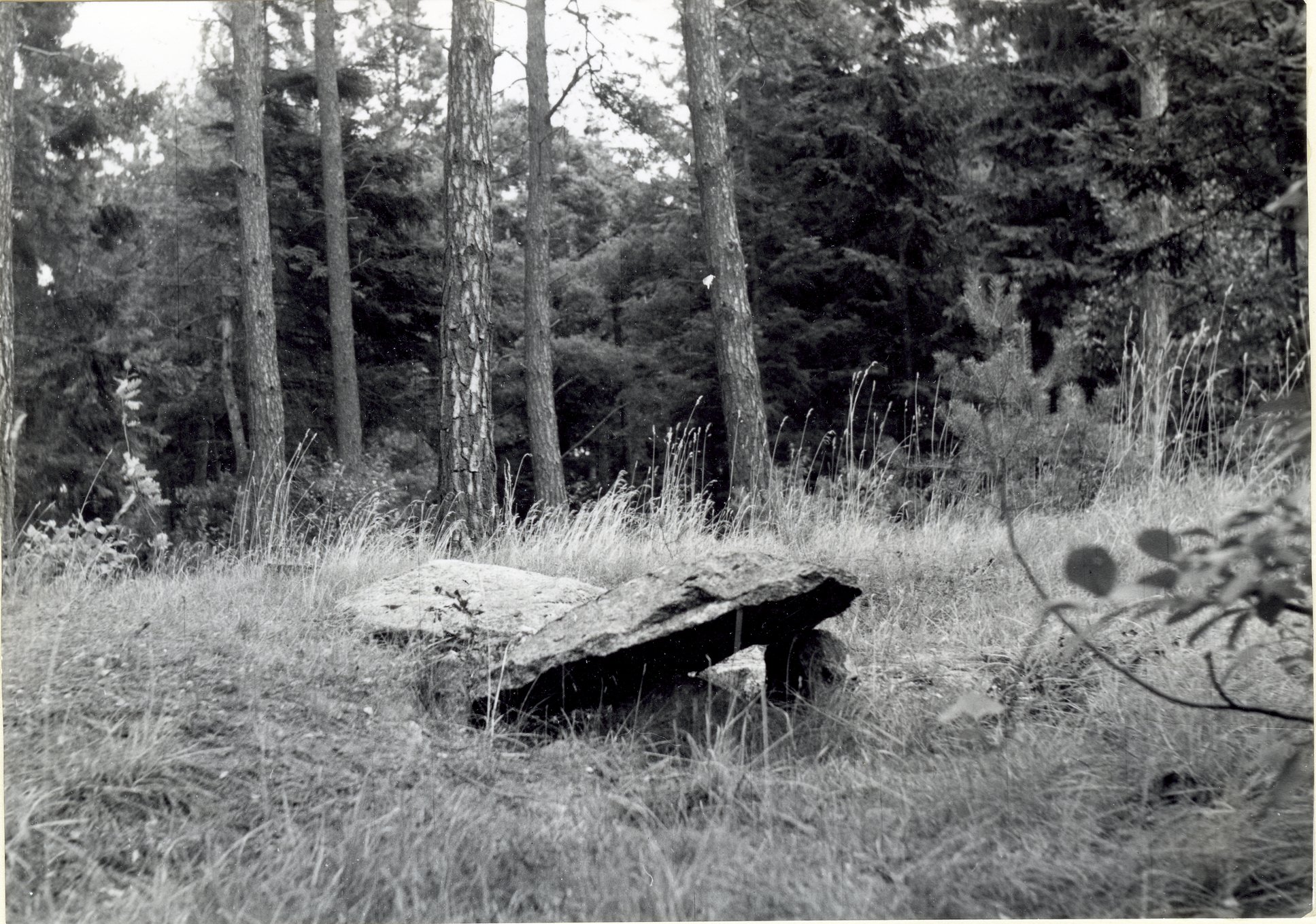 Bromölla Hällkistan Skogsdungen Tiansvägen Innan renovering 1956