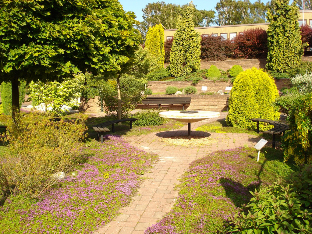 Museets trädgård i sommarskrud