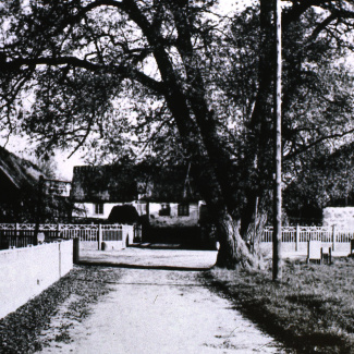 Bromölla Bondgård Greens Gård Tunnbygatan