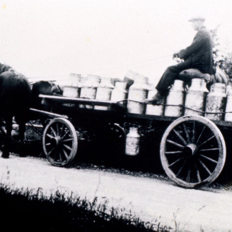 Bromölla Mjölkskjuts från Årup 1900