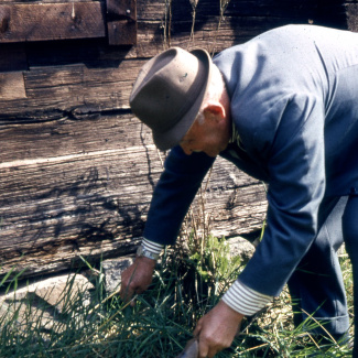 Fabrik Pensionärsutflykt Ballingslöv 1958