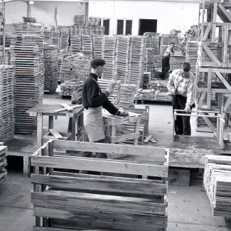 Fabrik Iföverken Lådspikning Sågen1960