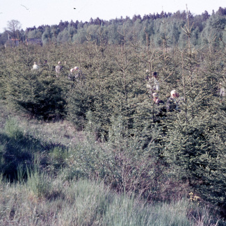 Fabrik Pensionärsutflykt 1964