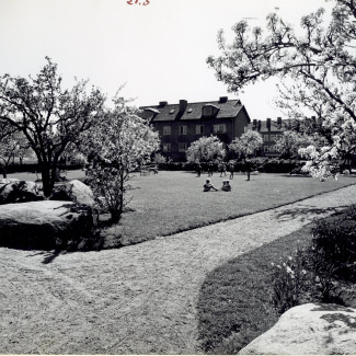 Bromölla Innergård mellan Hagagatan Dalagatan  1960