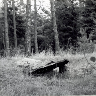 Bromölla Hällkistan Skogsdungen Tiansvägen Innan renovering 1956
